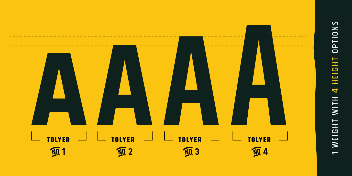 Tolyer
